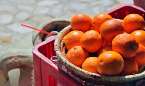 D Vitamini ve Eksikliğinde Oluşan Sorunlar